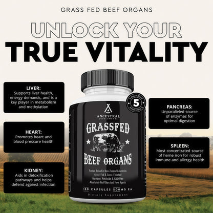 Ancestral Supplements Grass Fed Beef Organ Supplement, Supports Whole Body Wellness with Proprietary Blend of Liver, Heart, Kidney, Pancreas, Spleen, Freeze-Dried Beef, Non-GMO, 180 Capsules